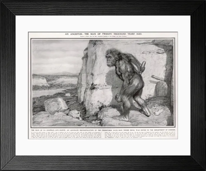 Framed Print : Correze Man / Neanderthal Framed Print : Correze Man / Neanderthal
