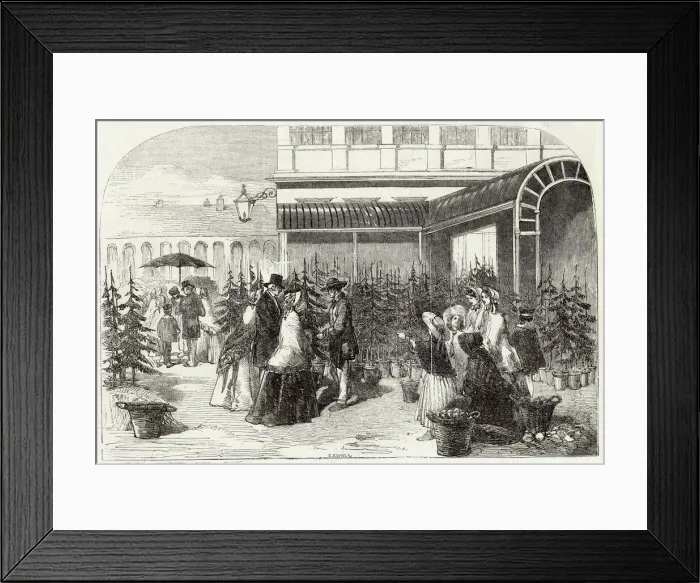 Framed Print : Trees, Covent Garden Framed Print : Trees, Covent Garden