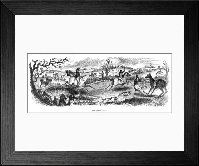 Framed Print : Hunting / Deer / Epping Fst Framed Print : Hunting / Deer / Epping Fst