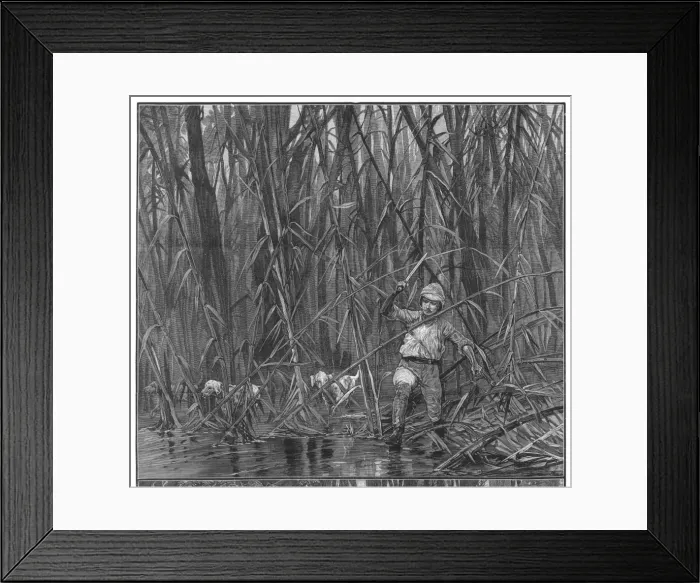 Framed Print : Exploring Bamboo Jungle