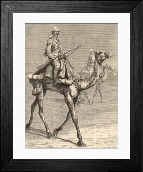 Framed Print : Trooper on a Camel  /  1884