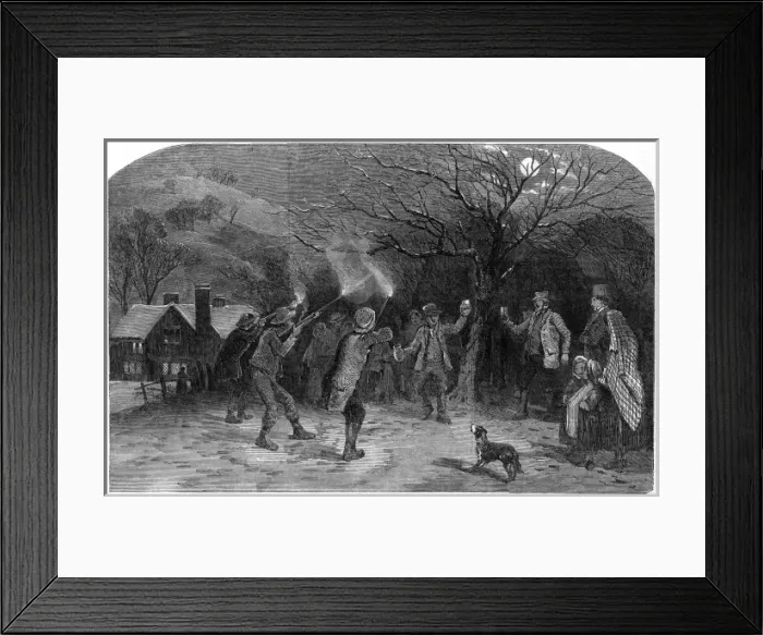Framed Print : Shooting Apple Trees Framed Print : Shooting Apple Trees