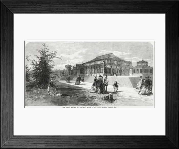 Framed Print : Exterior of the winter garden or Temperate House, designed for the accommodation of trees Framed Print : Exterior of the winter garden or Temperate House, designed for the accommodation of trees