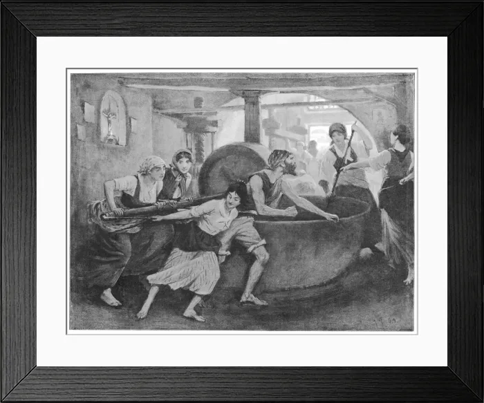 Framed Print : Making Olive Oil Framed Print : Making Olive Oil