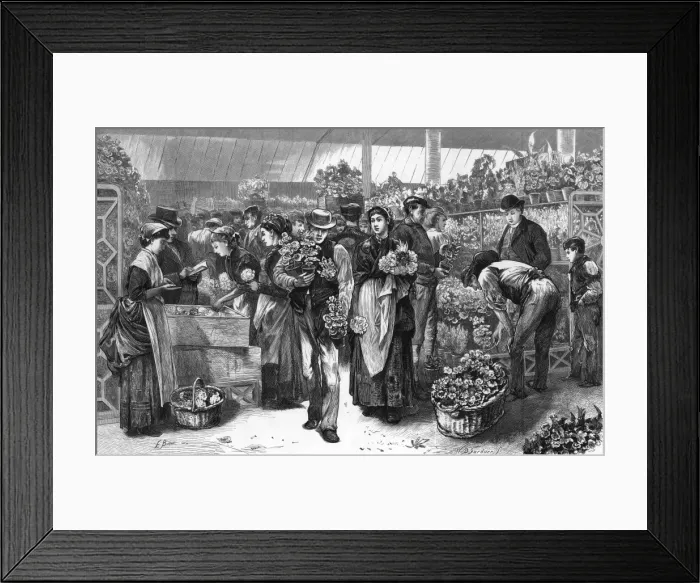 Framed Print : Covent Garden Flowers Framed Print : Covent Garden Flowers