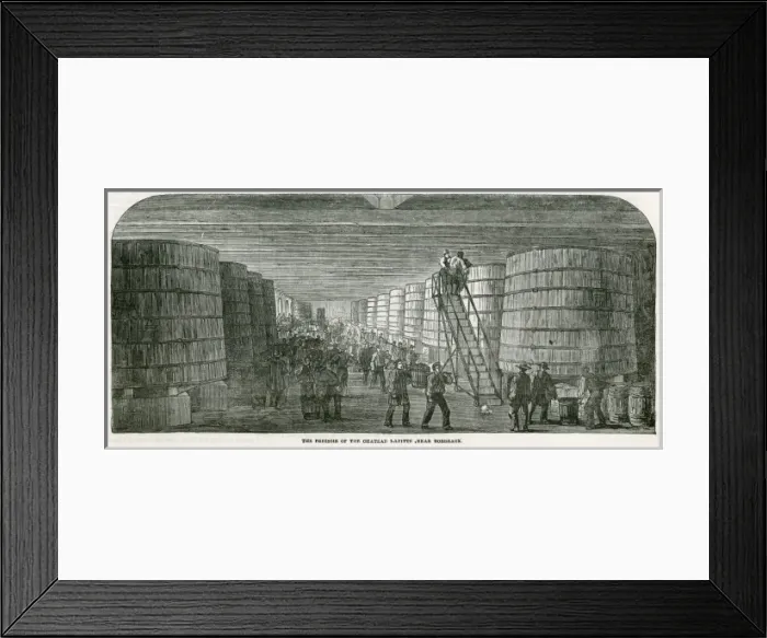 Framed Print : Bordeaux Wine Growing Framed Print : Bordeaux Wine Growing