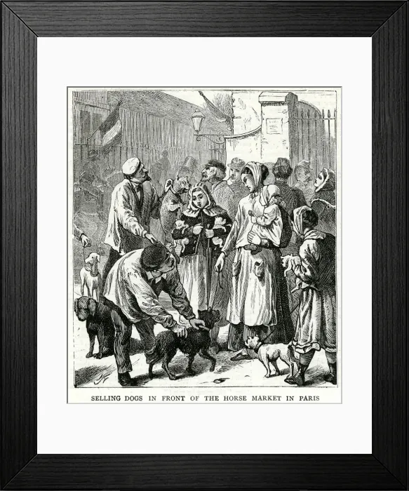 Framed Print : Selling dogs for food 1871