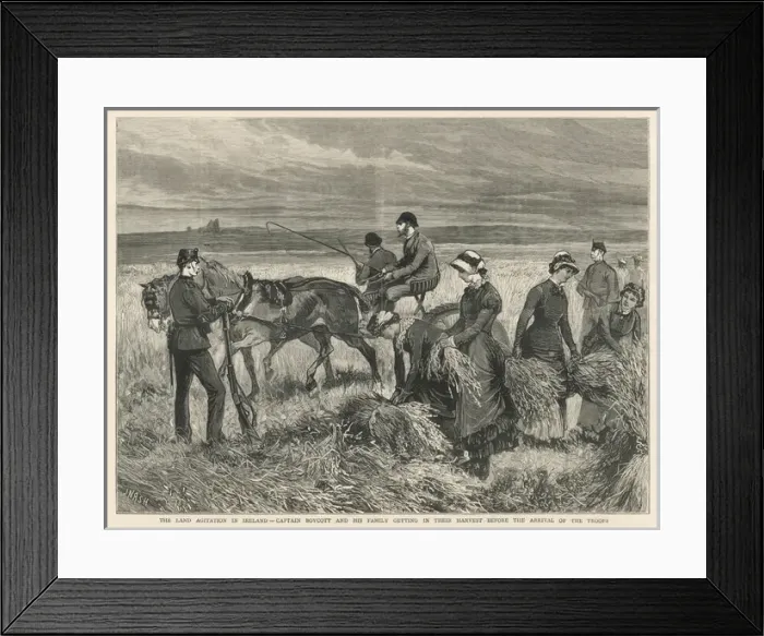 Framed Print : Cc Boycott  /  Graphic 1880