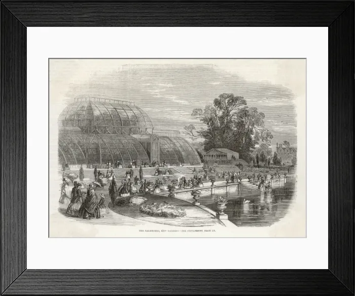 Framed Print : Palm House, Kew Framed Print : Palm House, Kew