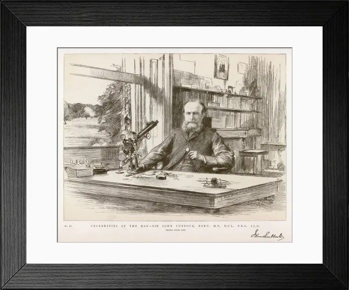 Framed Print : Lubbock / John / Graphic 84 Framed Print : Lubbock / John / Graphic 84