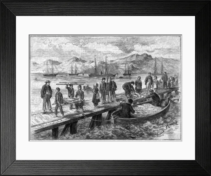 Framed Print : Picture No. 10082205