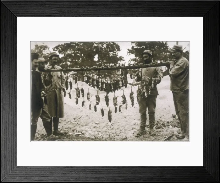 Framed Print : Trench Rats