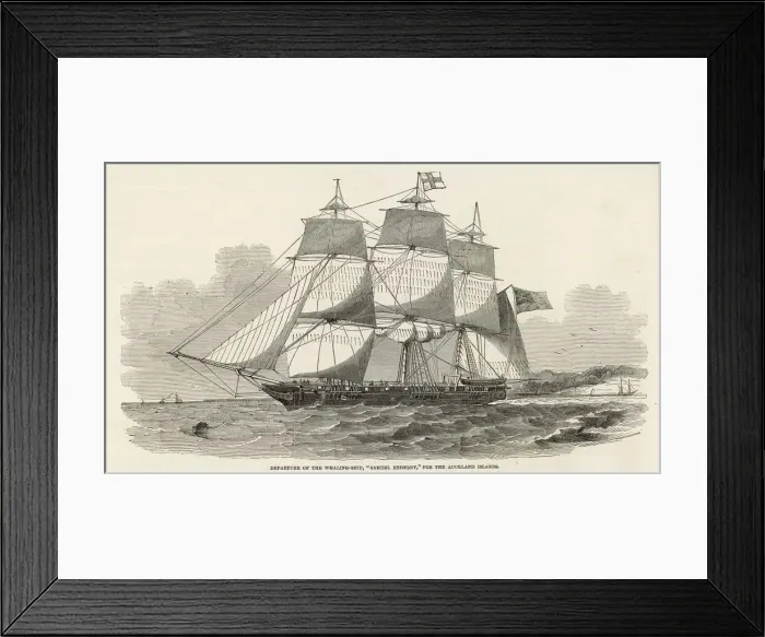 Framed Print : Whaling Ship / 1849 Framed Print : Whaling Ship / 1849
