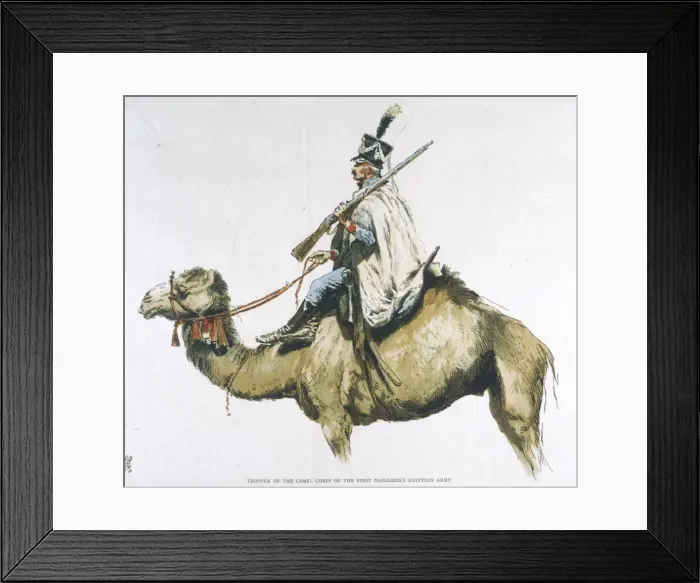 Framed Print : French Camel Corps 1798
