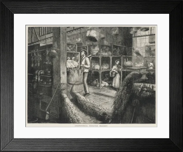 Framed Print : Leadenhall Poultry Framed Print : Leadenhall Poultry