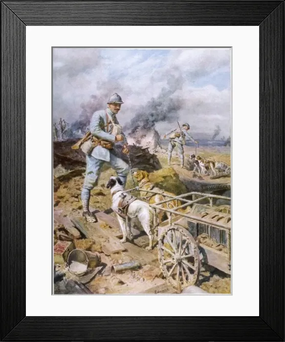 Framed Print : World War I dog carts Framed Print : World War I dog carts