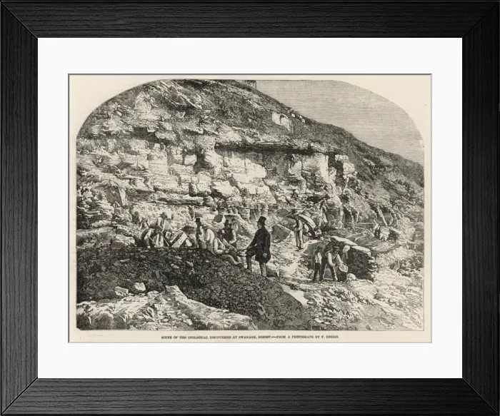 Framed Print : Geologists at Swanage Framed Print : Geologists at Swanage