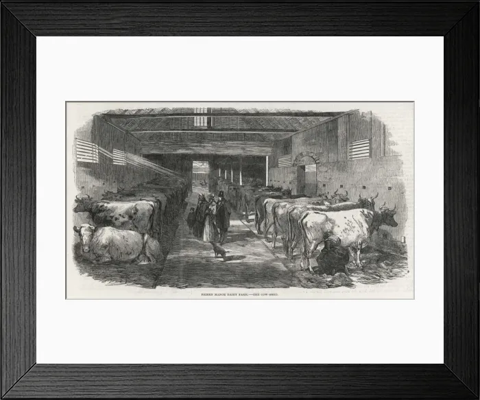 Framed Print : COWSHED, 1853 Framed Print : COWSHED, 1853
