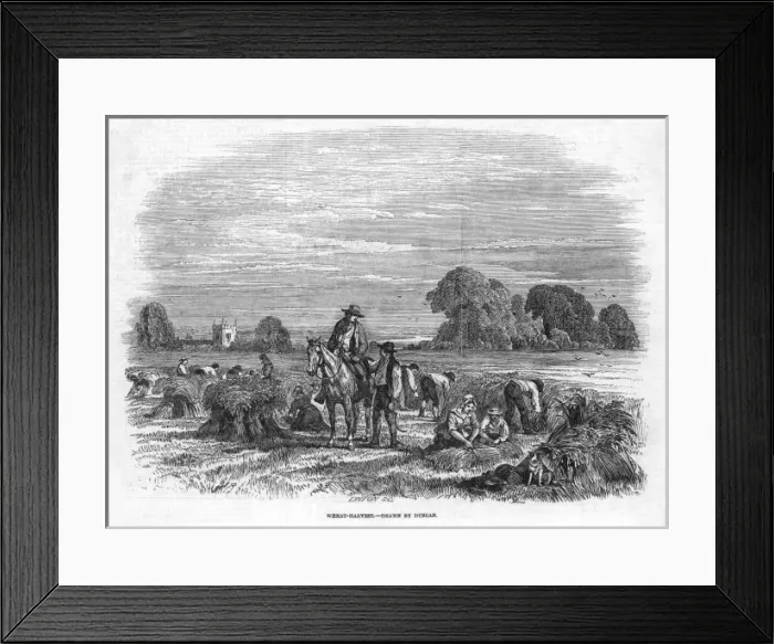 Framed Print : Wheat Harvest, 1846 Framed Print : Wheat Harvest, 1846