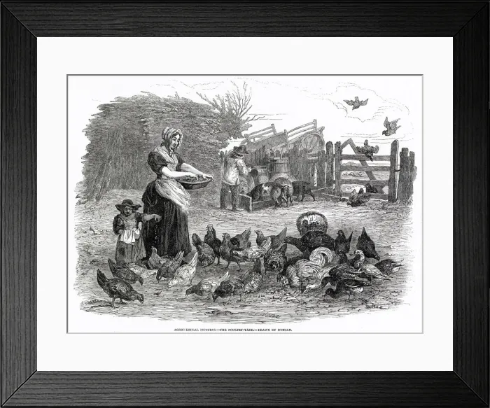Framed Print : FEEDING THE HENS 1847 Framed Print : FEEDING THE HENS 1847