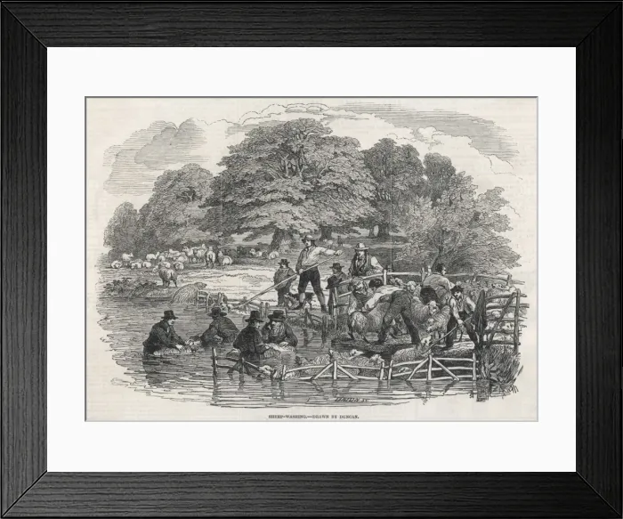 Framed Print : Sheep-Washing 1846 Framed Print : Sheep-Washing 1846
