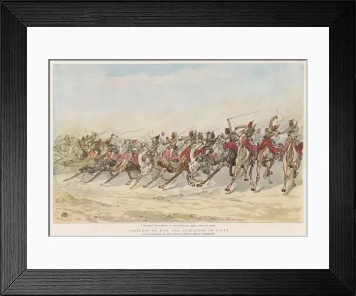 Framed Print : Camel Corps Review / Cairo Framed Print : Camel Corps Review / Cairo