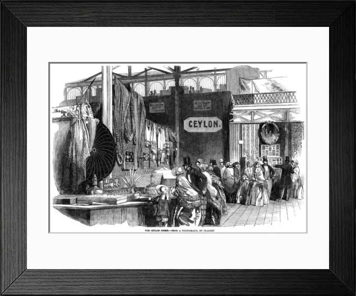 Framed Print : Crystal Palace Visitors Framed Print : Crystal Palace Visitors