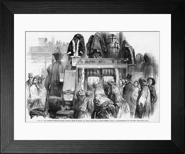 Framed Print : FURS AT EXHIBITION Framed Print : FURS AT EXHIBITION