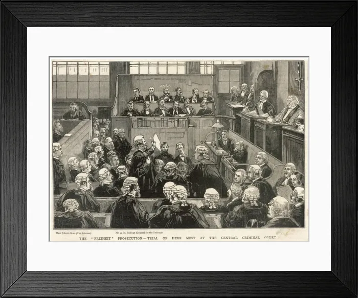 Framed Print : Freiheit Trial / 1881 Framed Print : Freiheit Trial / 1881