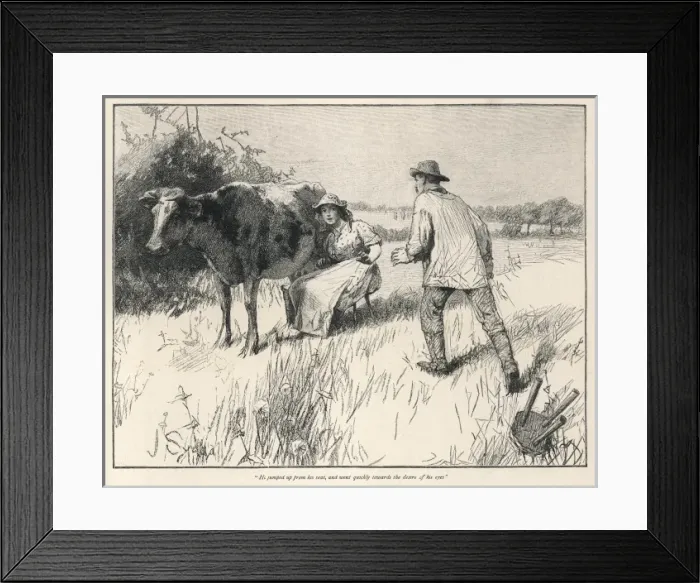 Framed Print : Hardy / Tess D urbervilles Framed Print : Hardy / Tess D urbervilles