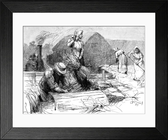 Framed Print : Hardy / Tess D urbervilles Framed Print : Hardy / Tess D urbervilles