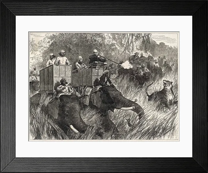 Framed Print : Edward Hunting Tigers