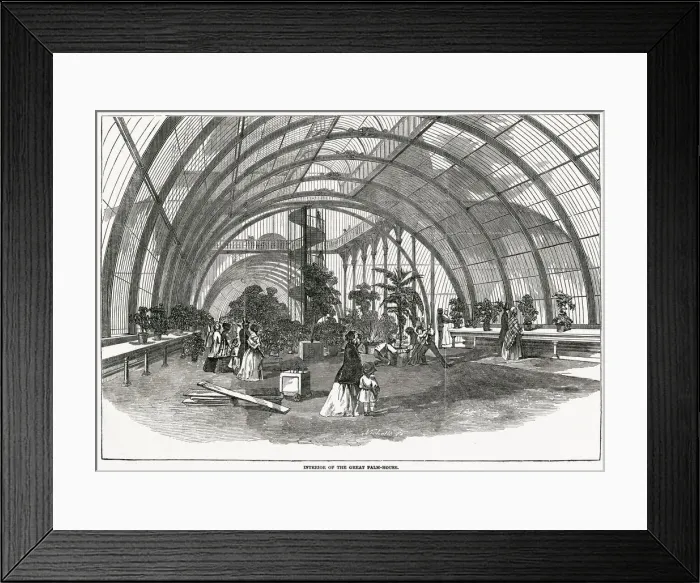 Framed Print : Interior of the Great Palm-House at Royal Gardens. Date: 1848 Framed Print : Interior of the Great Palm-House at Royal Gardens. Date: 1848