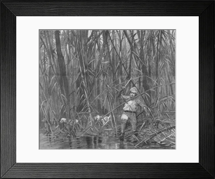 Framed Print : In Burmese Jungle Framed Print : In Burmese Jungle