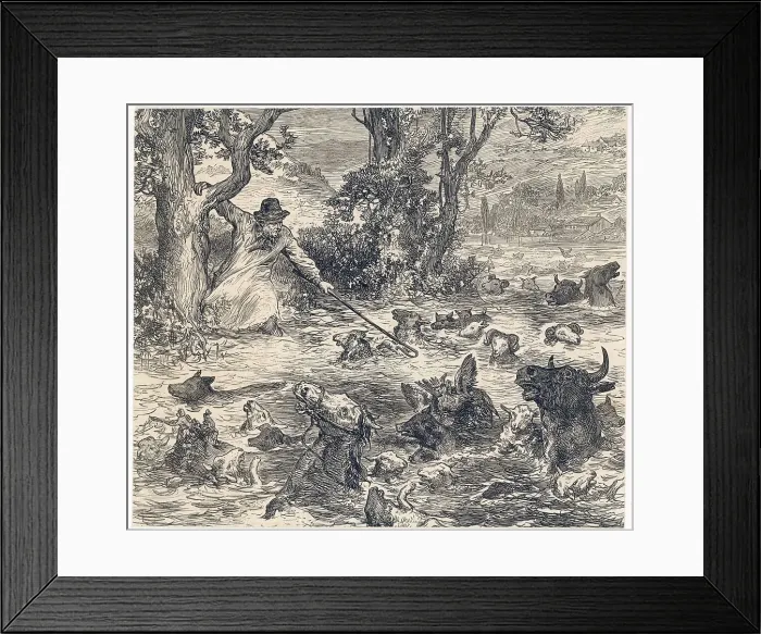 Framed Print : Animals in Flood