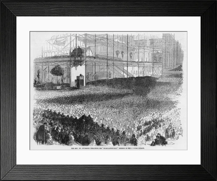 Framed Print : Spurgeon at Crystal Pal