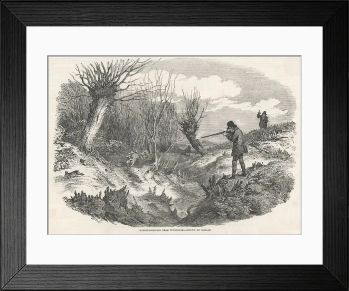 Framed Print : Rabbit Shooting Framed Print : Rabbit Shooting