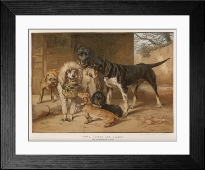 Framed Print : Envy, Hatred, Malice Framed Print : Envy, Hatred, Malice