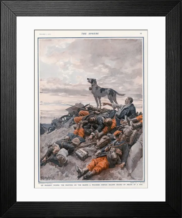 Framed Print : Wounded Saved by Dog Framed Print : Wounded Saved by Dog