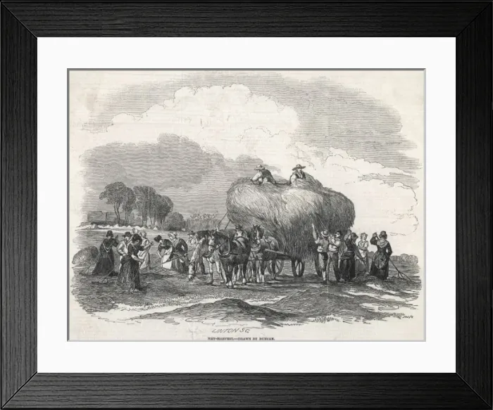 Framed Print : Harvesting Hay, Duncan Framed Print : Harvesting Hay, Duncan