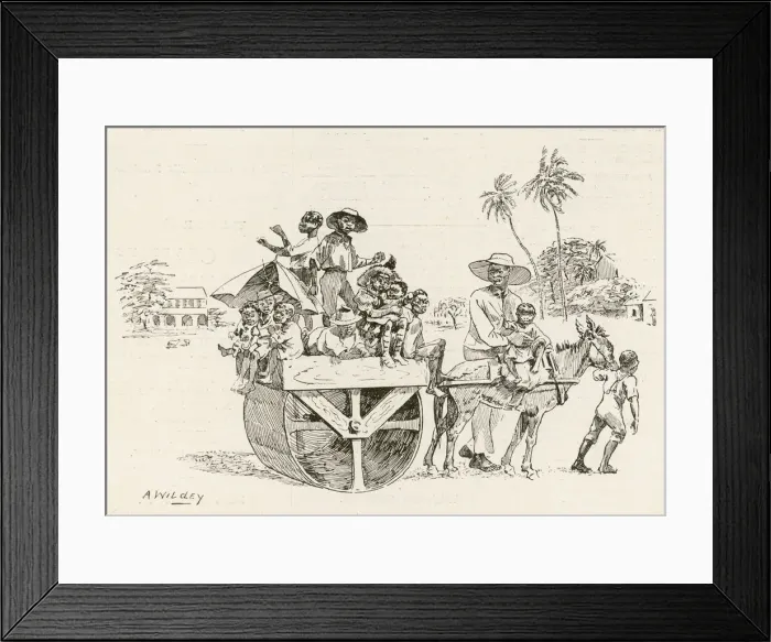 Framed Print : Rolling the Pitch Framed Print : Rolling the Pitch