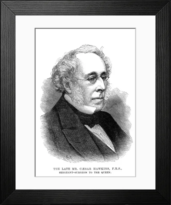 Framed Print : Caesar Henry Hawkins Framed Print : Caesar Henry Hawkins