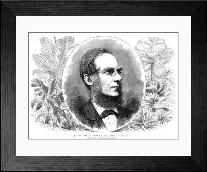 Framed Print : Joseph Dalton Hooker Framed Print : Joseph Dalton Hooker