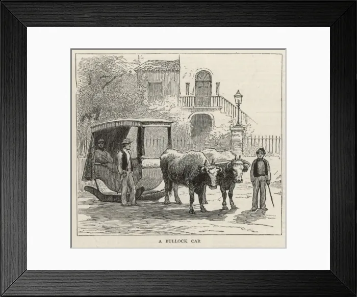 Framed Print : A Bullock Car Framed Print : A Bullock Car