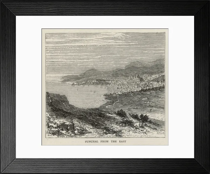 Framed Print : Madeira / Funchal Framed Print : Madeira / Funchal