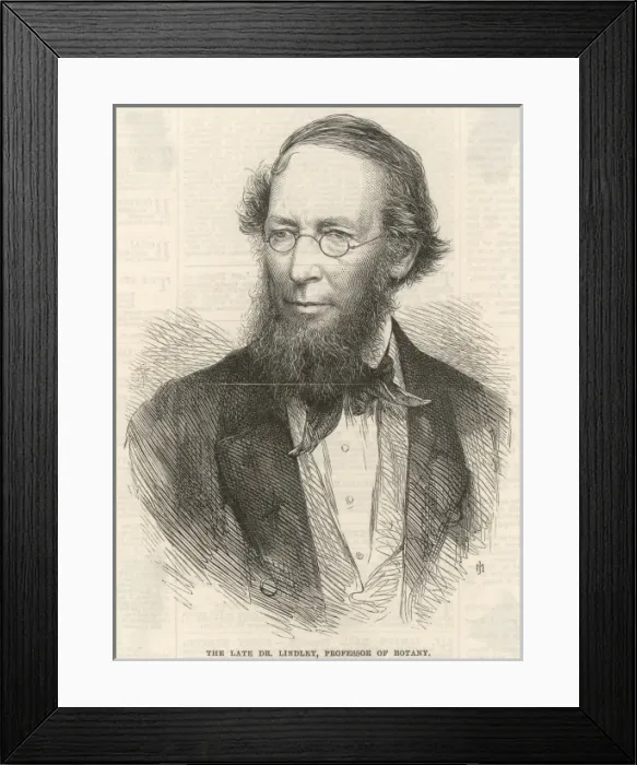 Framed Print : John Lindley Framed Print : John Lindley