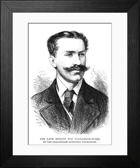 Framed Print : Rudolf Willemoes-Suhm Framed Print : Rudolf Willemoes-Suhm