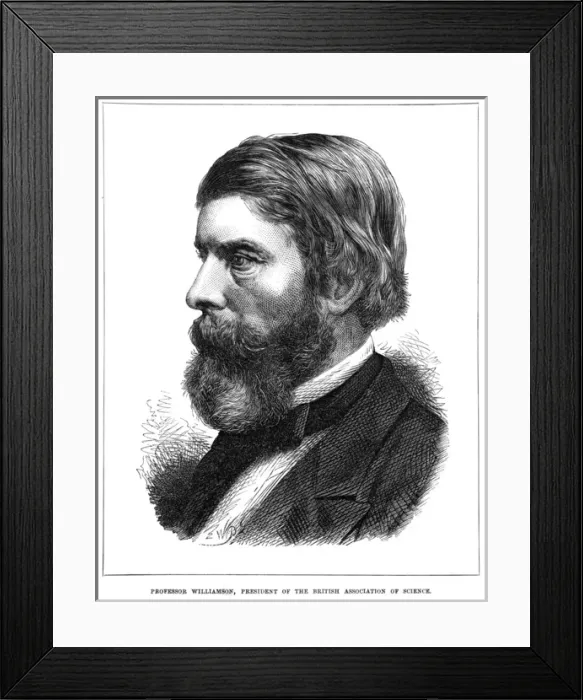 Framed Print : William C Williamson