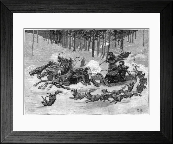 Framed Print : Wolves and Sledge Framed Print : Wolves and Sledge