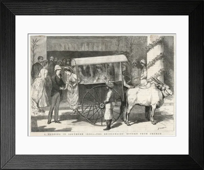 Framed Print : Bullock Cart - 2 Framed Print : Bullock Cart - 2